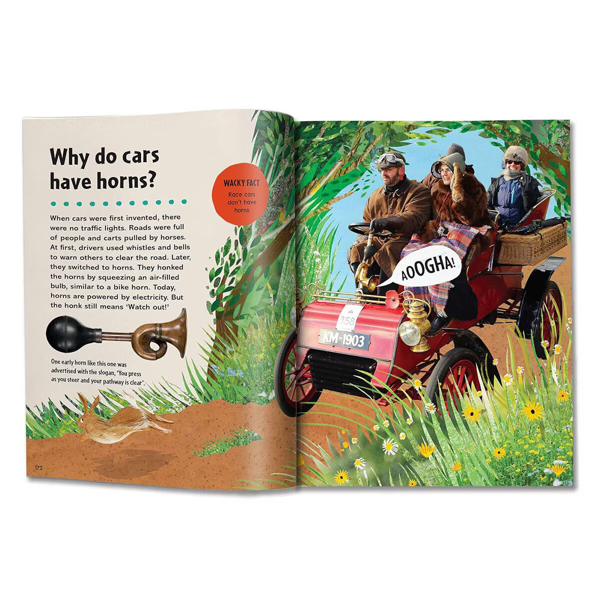 First Big Book of Why