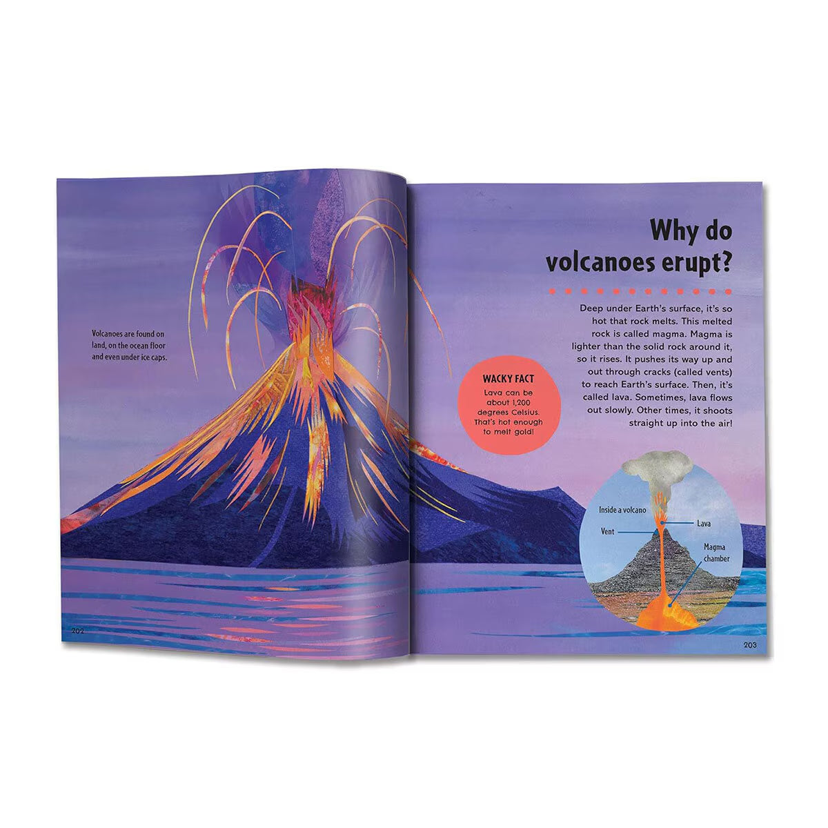 First Big Book of Why