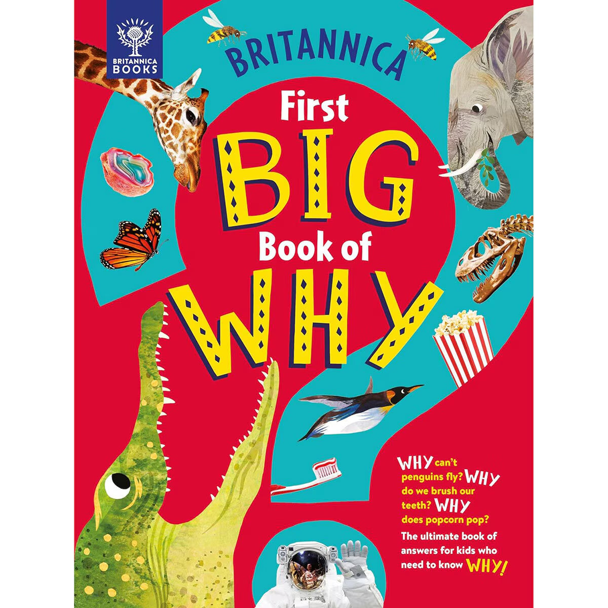 First Big Book of Why