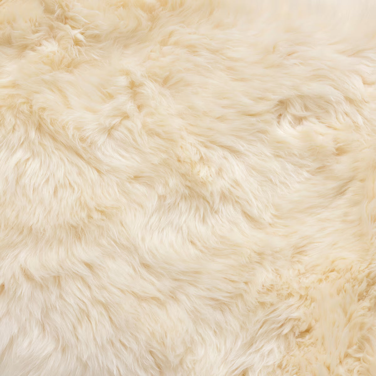 Sheepskin Area Rug 120 X 180Cm in Champagne