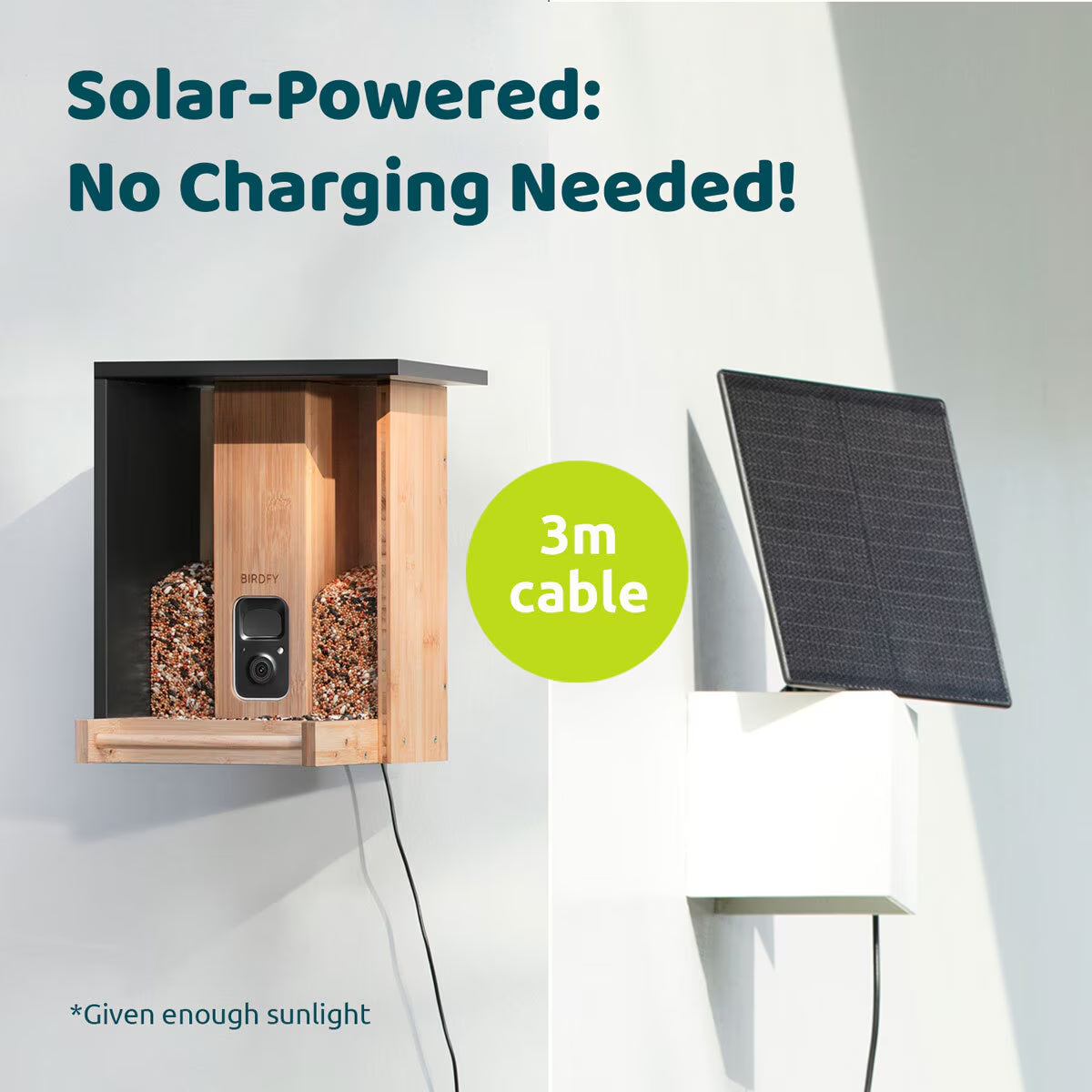 Birdfy Bamboo Bird Feeder with Camera & Solar Panel