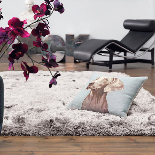 Plush Silver Rug, 160 X 230 Cm