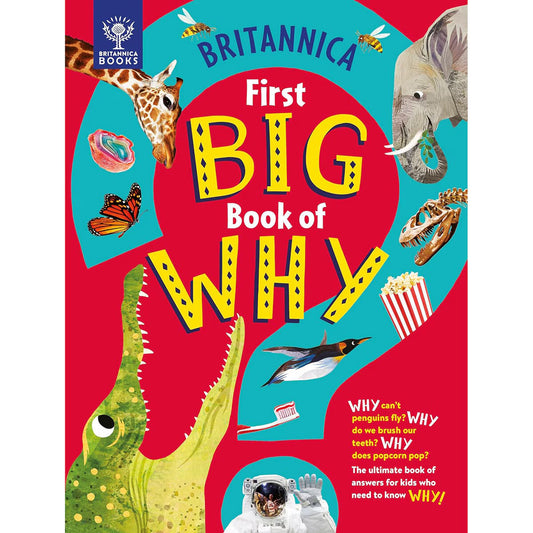 First Big Book of Why